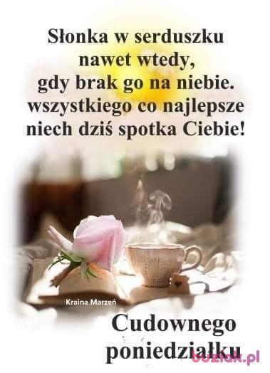 Janina, Female, 73, Tarnowskie Góry, Polska, Photo: 4