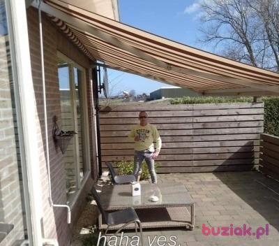 Adam, Male, 41, Haarlem, Holandia, Photo: 3