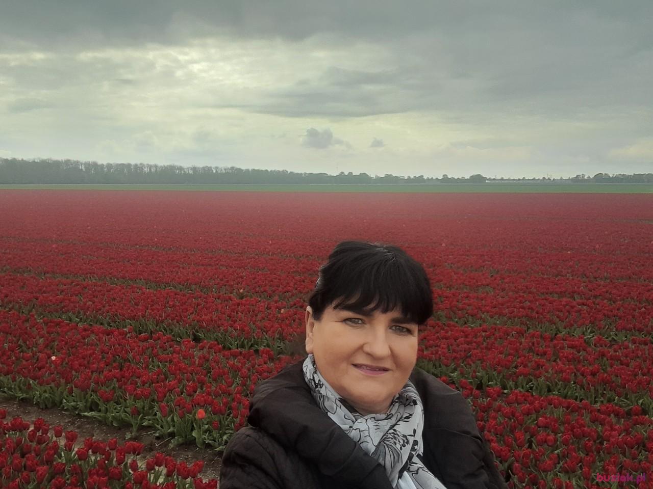 MARZENA, Female, 55, Almere, Holandia, Photo: 8