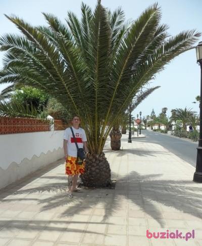 seji86, Male, 40, Bury St Edmunds, Wielka Brytania, Photo: 3