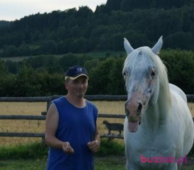 jan, Mężczyzna, 55, Nysa, Polska, Zdjęcie: 2
