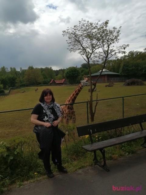 ASIA, Female, 45, Chełmno, Polska, Photo: 2