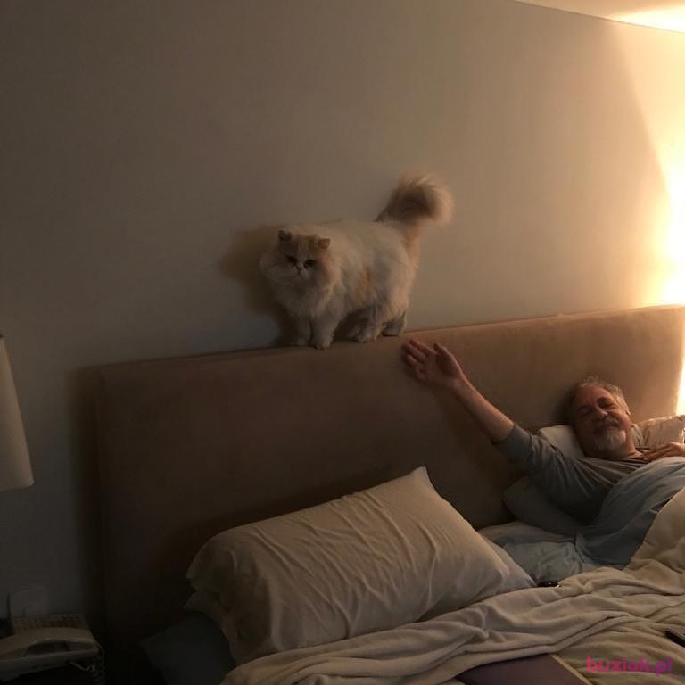 Pawel, Male, 70, Łódź, Polska, Photo: 2