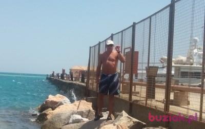 Mariusz, Mężczyzna, 60, Holandia, Zdjęcie: 3