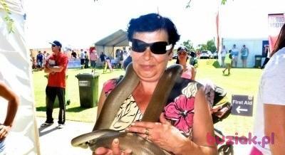 Ziutka61, Female, 73, Bielawa, Polska, Photo: 6