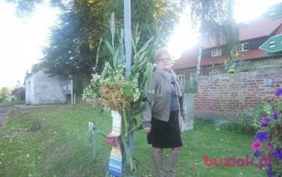 grazyna, Female, 73, Sandnes, Norwegia, Photo: 2