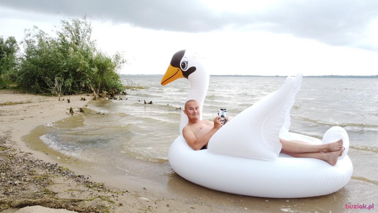 Michał, Mężczyzna, 37, Zgierz, Polska, Zdjęcie: 555