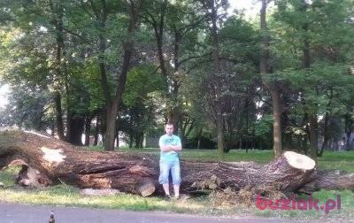 Adrian, Male, 34, Zawiercie, Polska, Photo: 5