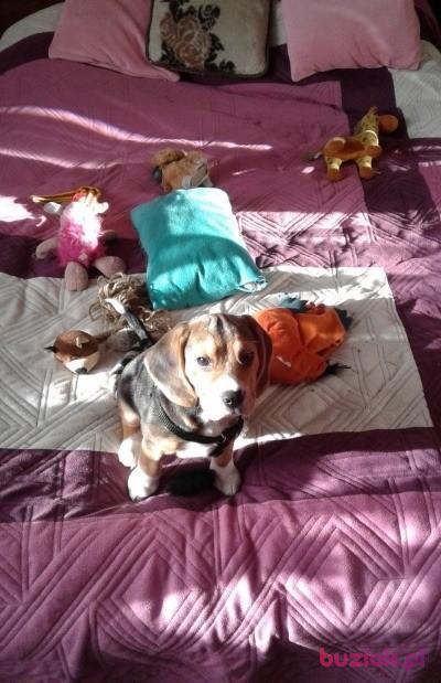 Łukasz, Male, 44, Ząbkowice Śląskie, Polska, Photo: 5