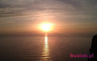 maxmilian, Male, 44, Niemcy, Photo: 2