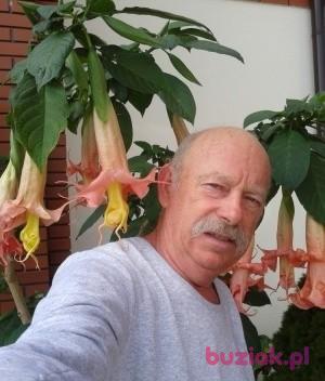 Bogdan , Male, 66, Gostynin, Polska, Photo: 3