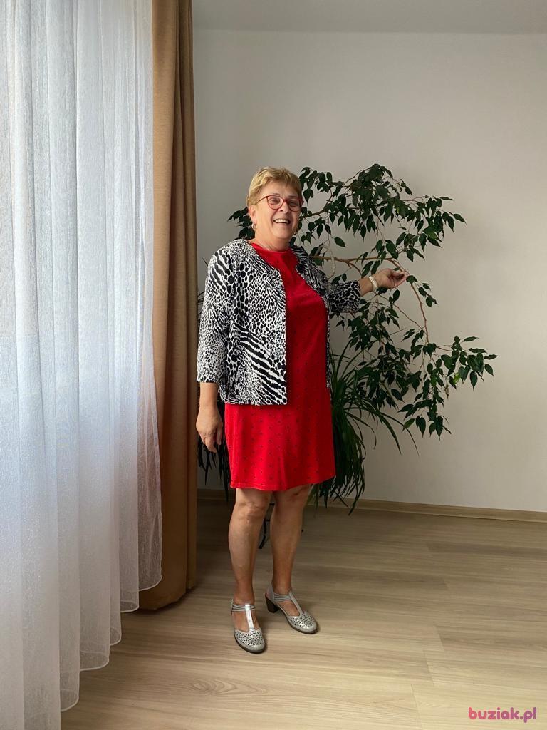 HENIA, Kobieta, 72, Wodzisław Śląski, Polska, Zdjęcie: 18