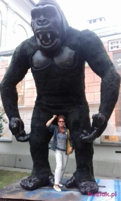 maryla, Female, 67, Białobrzegi, Polska, Photo: 3