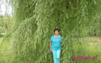 Patrycja, Female, 72, Racibórz, Polska, Photo: 2
