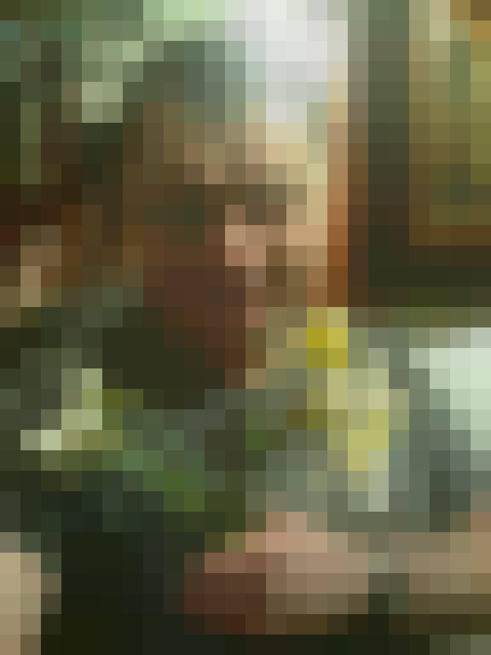 Grzegorz, Mężczyzna, 66, Rzeszów, Polska, Zdjęcie: 14