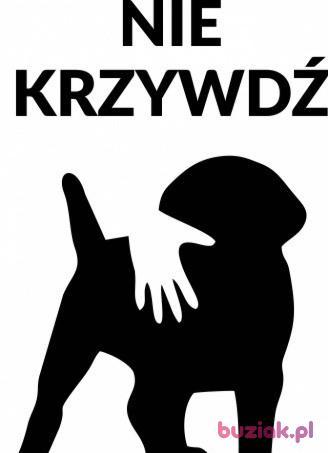 Łukasz, Male, 42, Gdańsk, Polska, Photo: 3