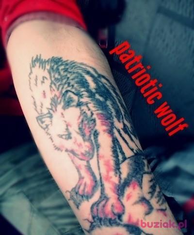Kajetan , Male, 36, Polska, Photo: 3