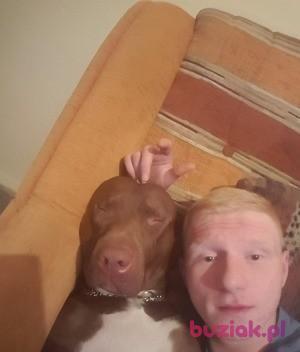 Sebastian, Male, 33, Bielsko-Biała, Polska, Photo: 2