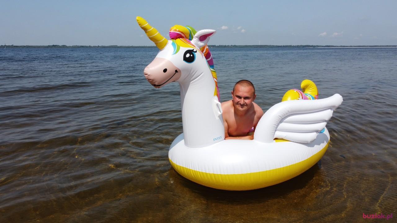 Michał, Mężczyzna, 37, Zgierz, Polska, Zdjęcie: 430