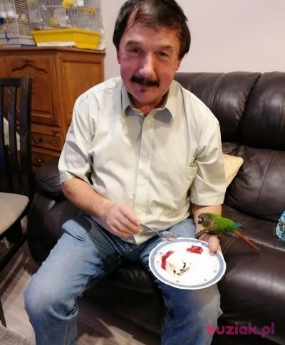 Zdzislaw, Mężczyzna, 69, Kraków, Polska, Zdjęcie: 1