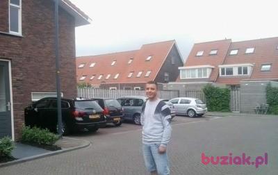 Ariel, Male, 31, Holandia, Photo: 1