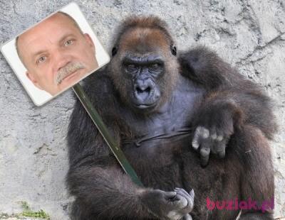 Paweł, Male, 66, Polska, Photo: 6