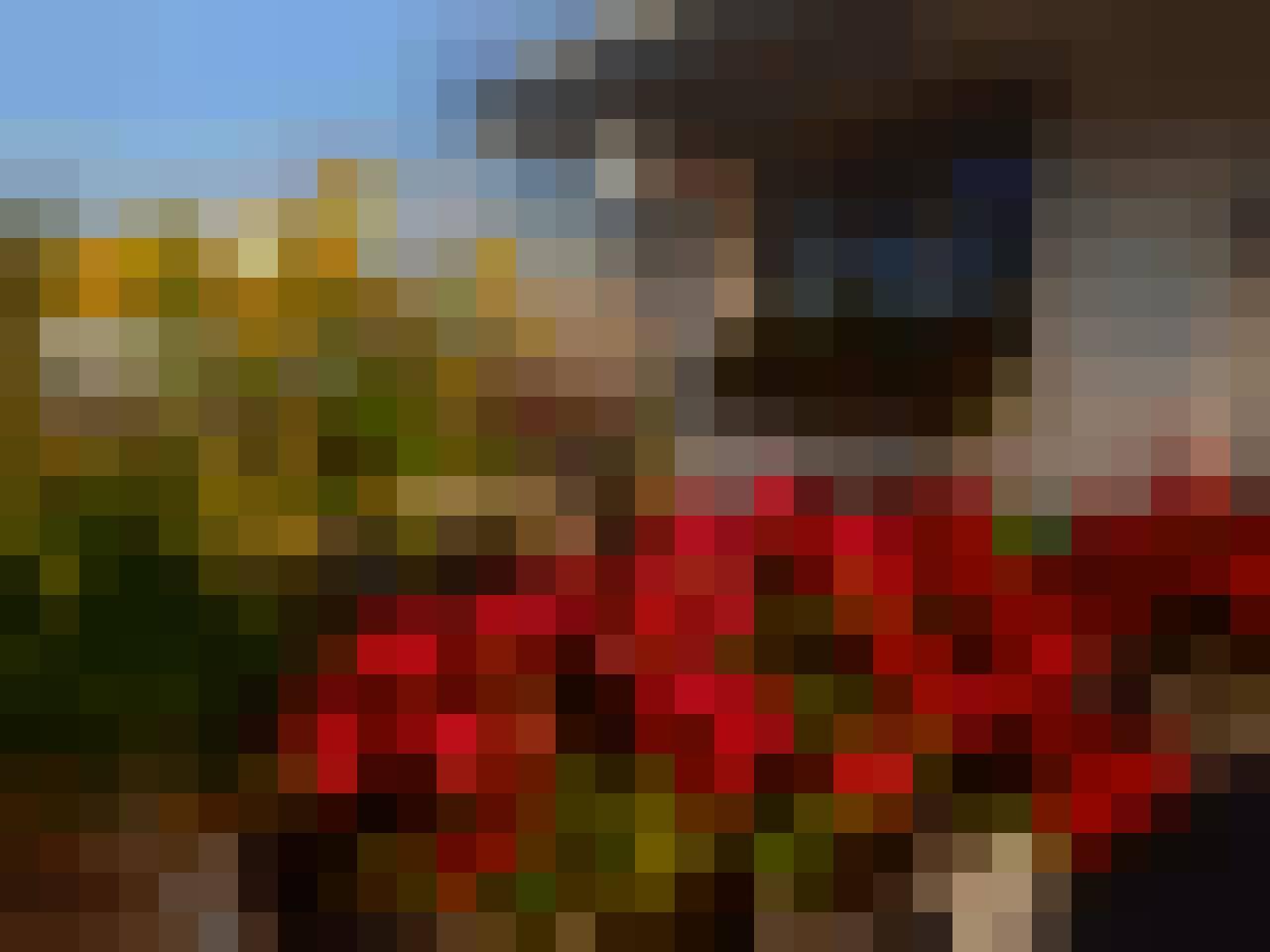 janek, Male, 67, Konin, Polska, Photo: 2