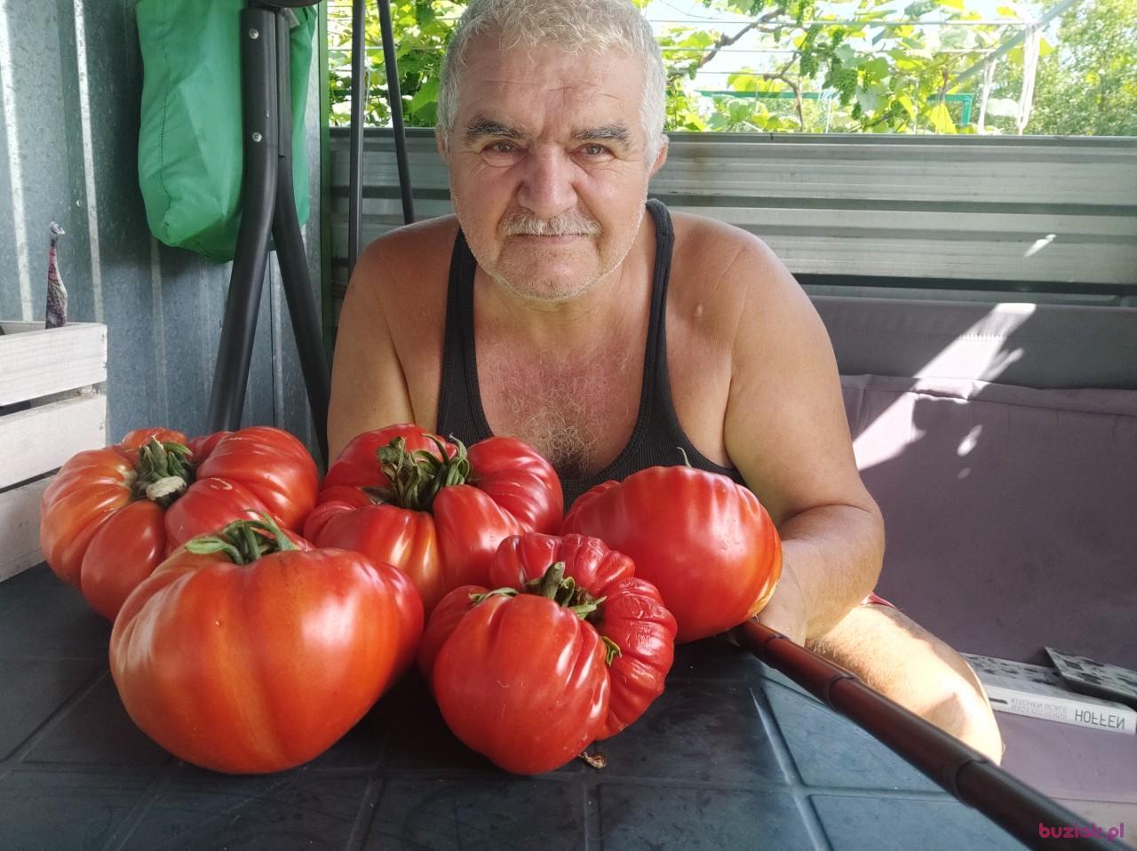 Janusz, Mężczyzna, 74, Mława, Polska, Zdjęcie: 10