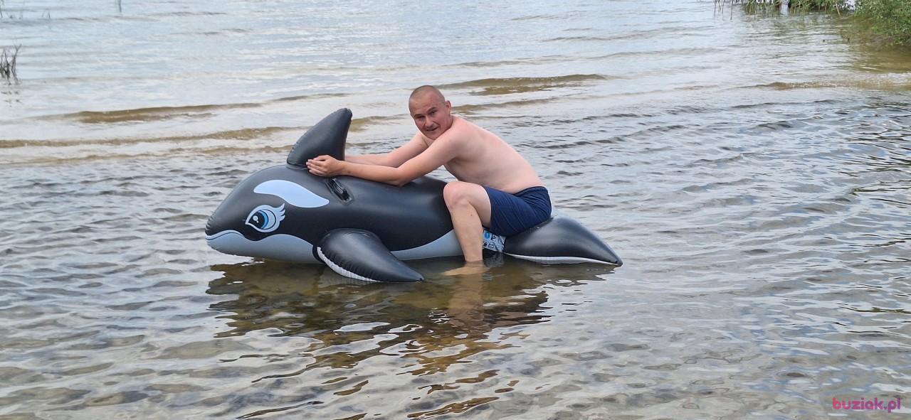 Michał, Mężczyzna, 37, Zgierz, Polska, Zdjęcie: 354