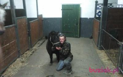 niko66620, Mężczyzna, 58, Świebodzin, Polska, Zdjęcie: 3