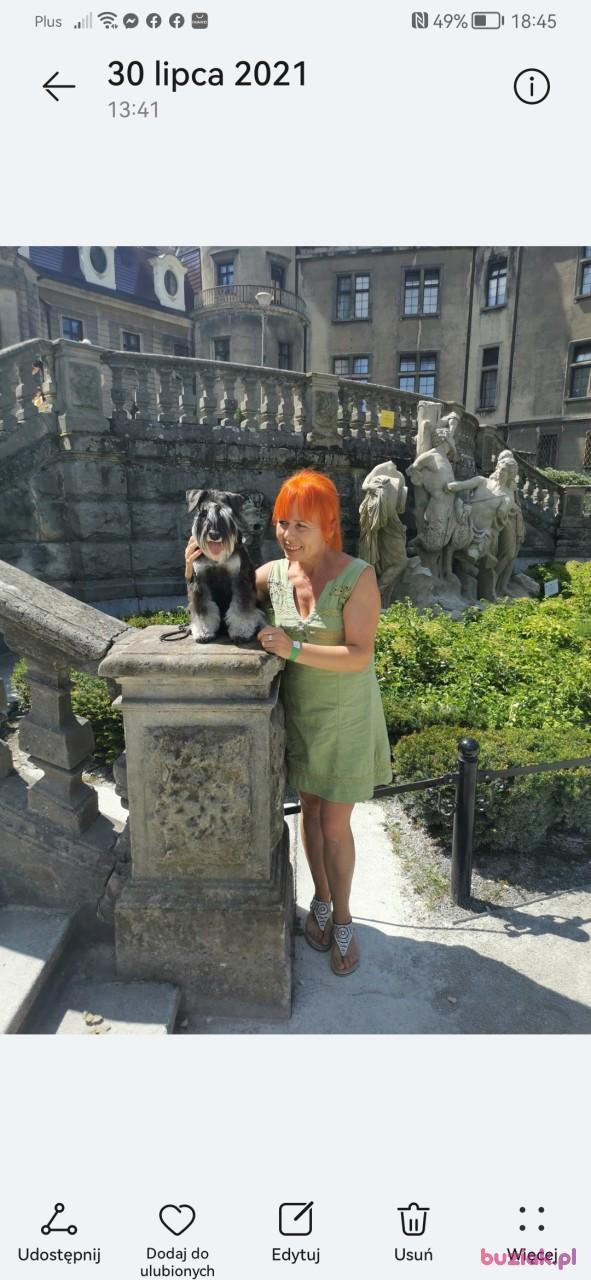 Krystyna, Female, 53, Ostrów Wielkopolski, Polska, Photo: 2
