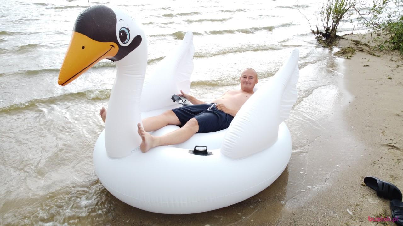 Michał, Mężczyzna, 37, Zgierz, Polska, Zdjęcie: 545