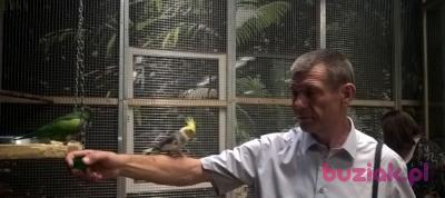 Darek, Mężczyzna, 61, Łódź, Polska, Zdjęcie: 2