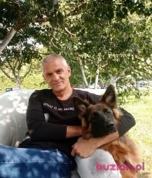 Norbert, Male, 61, Racibórz, Polska, Photo: 2
