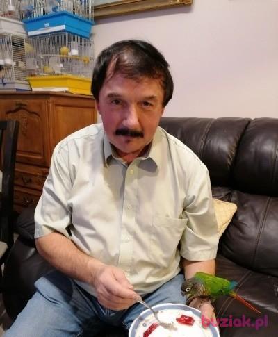 Zdzislaw, Mężczyzna, 69, Kraków, Polska, Zdjęcie: 4