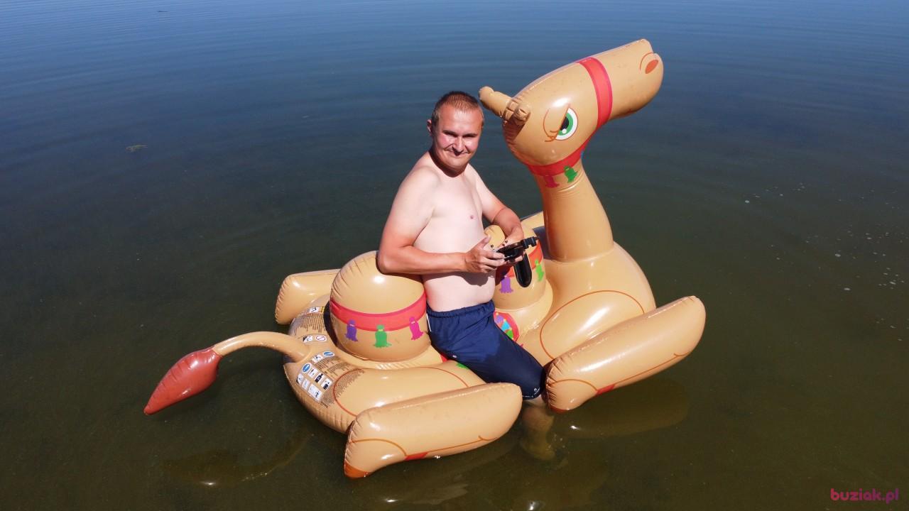 Michał, Mężczyzna, 37, Zgierz, Polska, Zdjęcie: 470