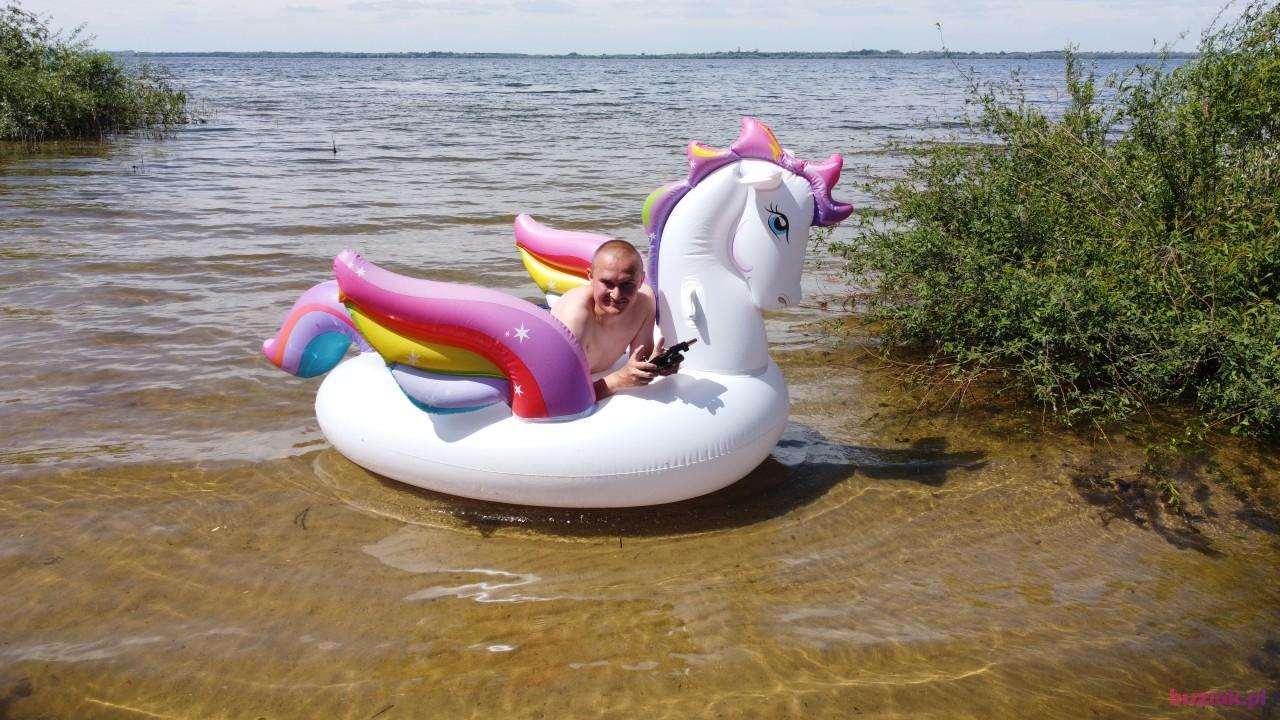 Michał, Mężczyzna, 37, Zgierz, Polska, Zdjęcie: 389