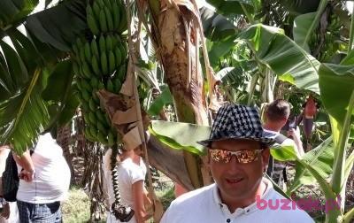 rafael81111, Mężczyzna, 44, Łódź, Polska, Zdjęcie: 4