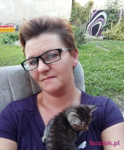 Alicja, Female, 50, Korfantów, Polska, Photo: 3