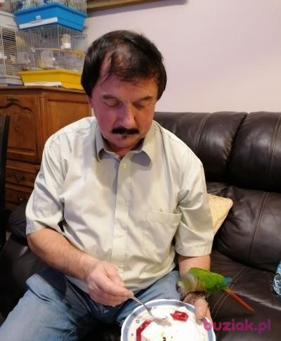 Zdzislaw, Mężczyzna, 69, Kraków, Polska, Zdjęcie: 2