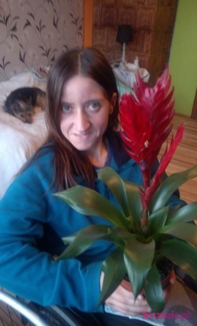 ania, Kobieta, 36, Polska, Zdjęcie: 7