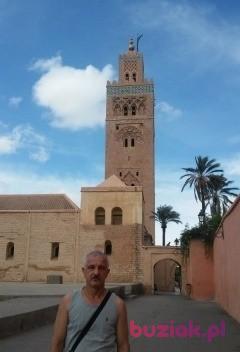 well61, Male, 65, Słupsk, Polska, Photo: 2