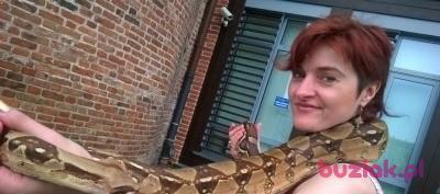 Kalina, Kobieta, 49, Gdańsk, Polska, Zdjęcie: 13