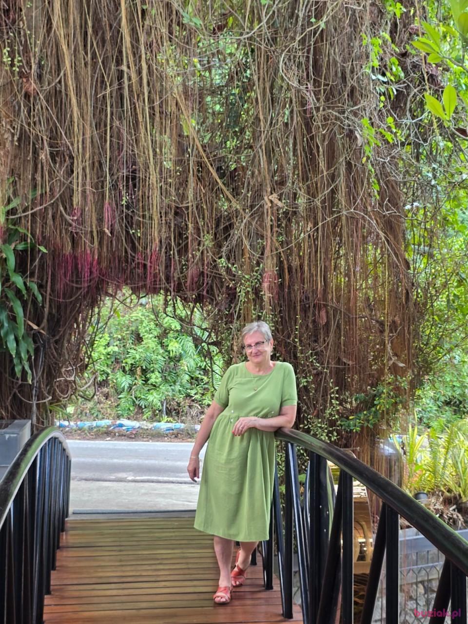 Mira, Female, 71, Lubliniec, Polska, Photo: 1