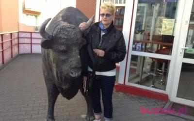 Anna, Female, 60, Llanelli Rural, Wielka Brytania, Photo: 5
