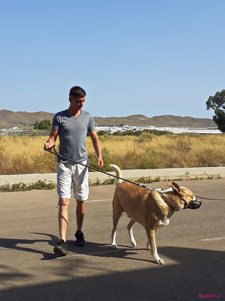 Paweł, Male, 38, Aguadulce, Hiszpania, Photo: 2