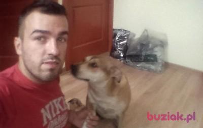 Mirosław, Mężczyzna, 40, Kraków, Polska, Zdjęcie: 4