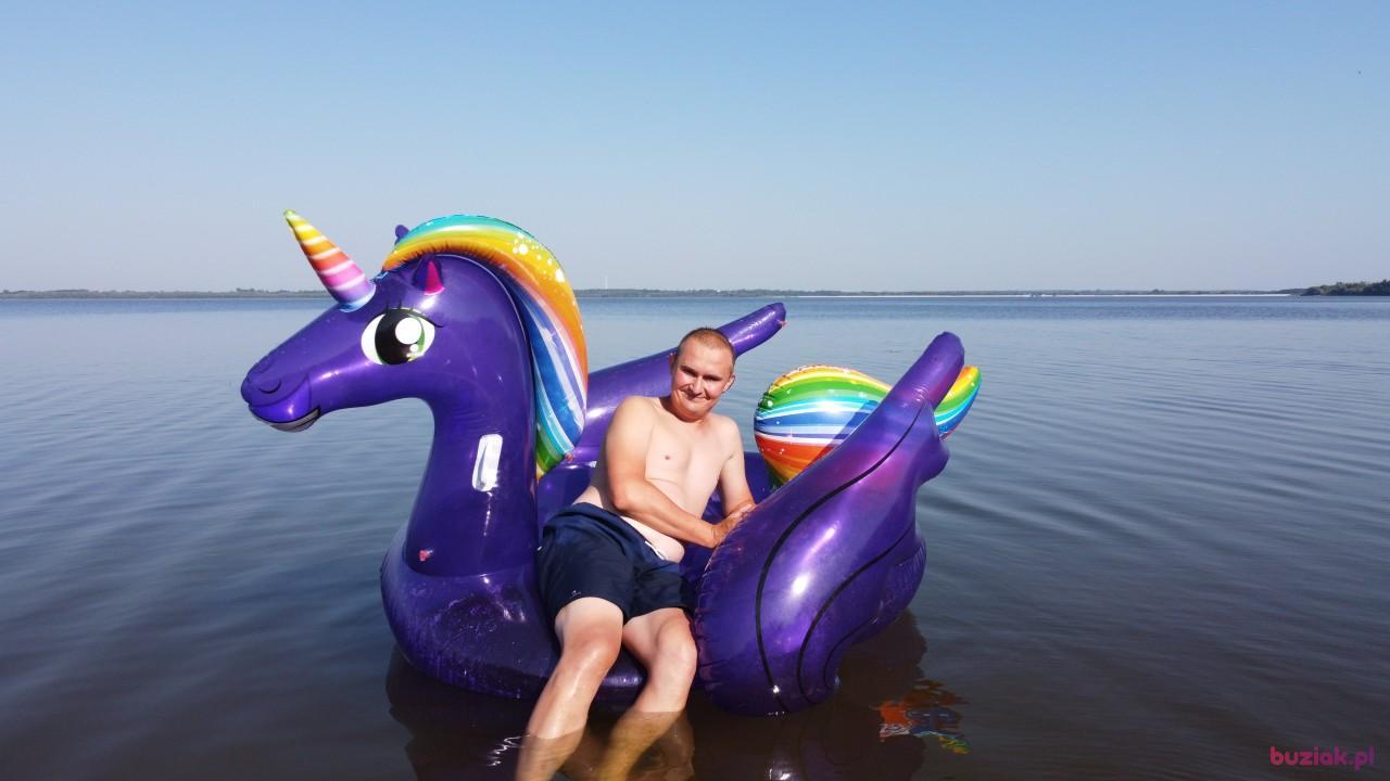 Michał, Mężczyzna, 37, Zgierz, Polska, Zdjęcie: 616