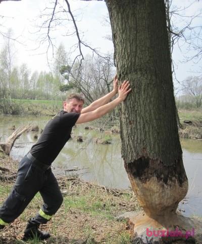 Tomek, Male, 52, Oława, Polska, Photo: 1