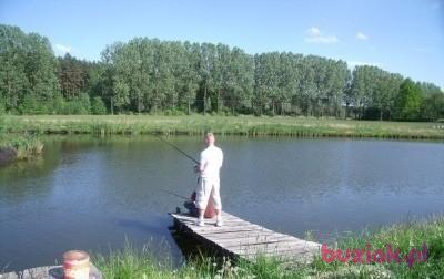 Robert, Male, 46, Wielka Brytania, Photo: 2